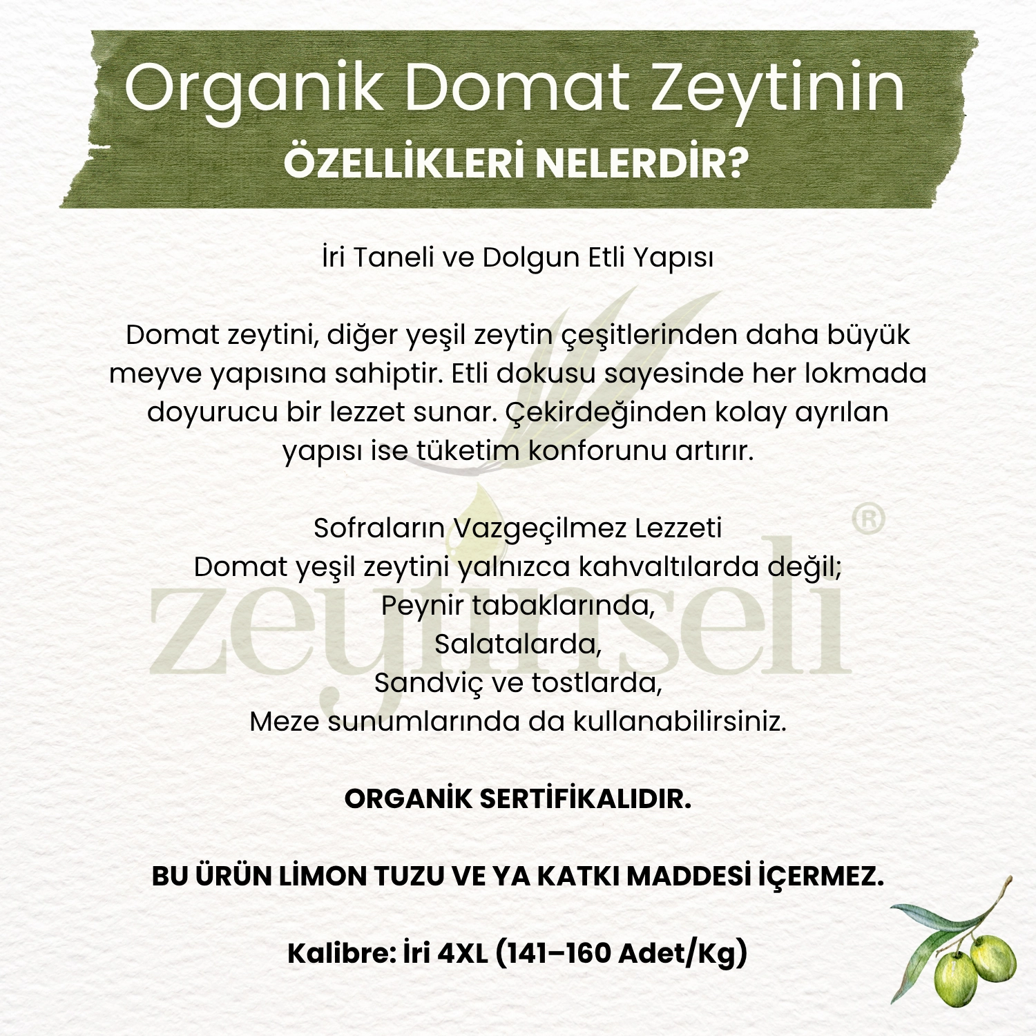 Zeytinseli Organik Domat Kırma Yeşil Zeytin