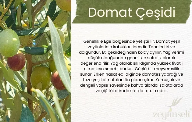 Zeytinseli Organik Domat Zeytinyağı 0,5 lt