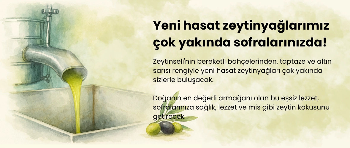 zeytinseli yeni hasat banner